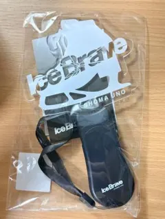 Item thumbnail for item b899d9d5-be42-4d9a-ba06-1022afca71ca