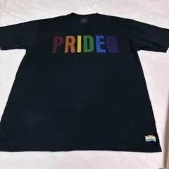 VANS PRIDE Tシャツ Lサイズ ブラック