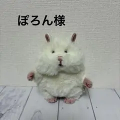 確認用　ぽろん様