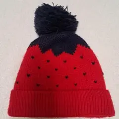 【期限付き出品です】ベビー ニット帽子