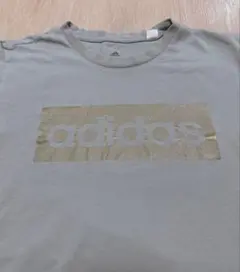 adidas アディダス ボックスロゴ Tシャツ グレーのサムネイル