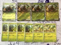 ドダイトスex ハヤシガメ ナエトル　セット　進化ライン