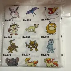3COINS ポケモン BIGハンカチ