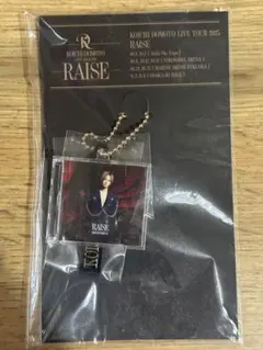 KOICHI DOMOTO LIVE TOUR 2025 RAISE グッズ - メルカリ