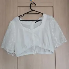 Item thumbnail for item a412d108-f798-4a0b-b836-e1d2a41a8a7f