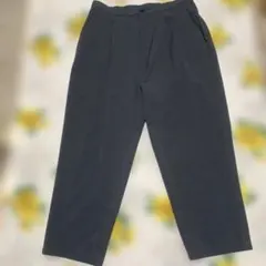 良品.ZARAポリエステルワイドスラックス .イージーパンツ ウエストゴムLLのサムネイル