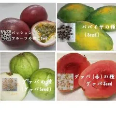 2026年最新】梨グアバの人気アイテム - メルカリ