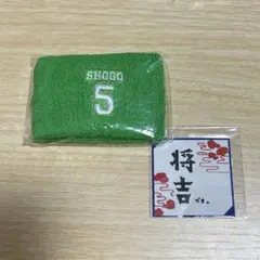 INI 田島将吾　カプセルトイ　リストバンド　ステッカー