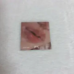 Stray Kids スキズ ATE リップカード フィリックス