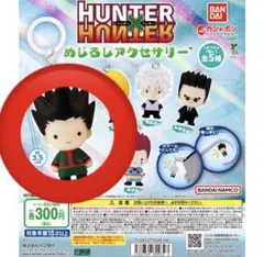 HUNTER×HUNTER めじるしアクセサリー ゴン