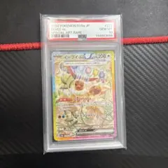 イーブイex SAR PSA10 テラスタルフェスex 223/187