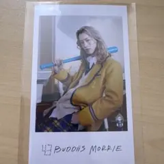 BUDDiiS MORRIE ミニフォト