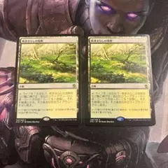 MTG 吹きさらしの荒野 日本語 4枚 - メルカリ