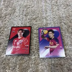 Item thumbnail for item e6b40147-882a-4d1d-93c4-08402a192def