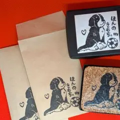 バーニーズマウンテンドッグ　ほんのきもち　はんこ　持ち手箱付き　匿名配送