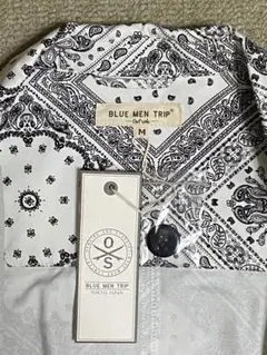 Item thumbnail for item 58ef5daf-3cf1-4505-84e5-e43dd5830272