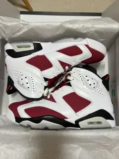 Nike Air Jordan 6 "Carmine" エアジョーダン6