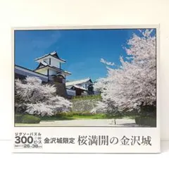 2025年最新】#askaekinishiの人気アイテム - メルカリ