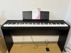 PIEGA C10 フロア型スピーカー 単品 1本 リボンツイーター① - メルカリ