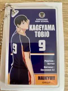 トーレディングアクリルキーホルダー　共闘　影山飛雄