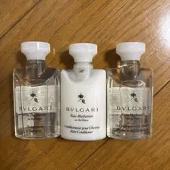 Item thumbnail for item 395965ea-f778-42fe-b8dc-702586c672c6