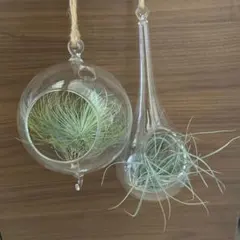 Item thumbnail for item 3425d26c-a5d9-4802-b764-100b6940ed73