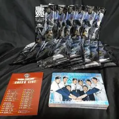 【BBM2002】プロ野球カード300種300枚以上　球団別バラ売り可