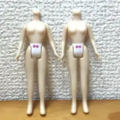 2025年最新】プチアイシードールの人気アイテム - メルカリ