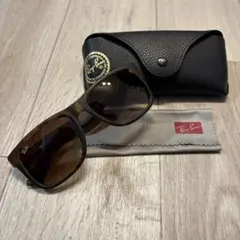 RayBan　サングラス　ケース付