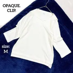 Item thumbnail for item 12daefab-309d-4d08-a28b-97269323deea