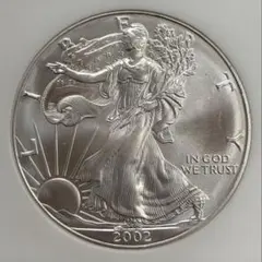 銀貨 米国 アメリカンイーグル 2017年 ゴールドホログラム - メルカリ