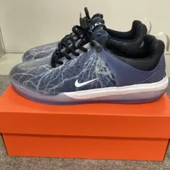 新品ナイキメンズスニーカーナイキSBスケートボードシューズ25.5グレーブラック