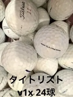 ⑤送料込み タイトリスト PRO V1 ロストボール24球セット - メルカリ