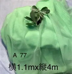 Item thumbnail for item 4c419cba-e5fc-43d1-bb8b-a5c5e7804b05