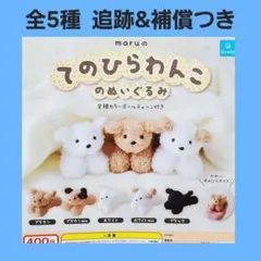 全5種 コンプ maruのてのひらわんこのぬいぐるみ ガチャ キーホルダー 犬