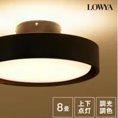 2026年最新】LOWYA シーリングライトの人気アイテム - メルカリ