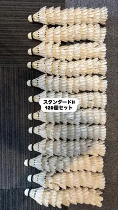 Item thumbnail for item 36da5dcf-ac41-45f3-9489-c4dc3dae84ce