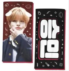 Stray Kids スキズ スンミン スローガン セット まとめ売り 11枚 2026年最新】straykids スンミン スローガンの人気アイテム - メルカリ