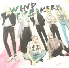WIND BREAKER ウィンブレ 桜遥 蘇枋隼飛 BIGアクリルスタンド