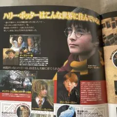 ハリーポッターと賢者の石　映画パンフレット