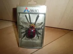 Item thumbnail for item ceb6c7d7-9976-4d2a-ab66-5842a8513d9f