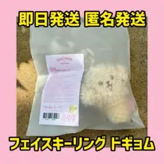 TWICE UNIVERSITY DUBU MINI KEYRING - メルカリ