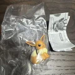 ポケモン しっぽみてみて イーブイ