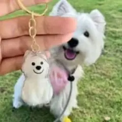 もーやん(値段交渉はプロフご覧ください)様 リクエスト 2点 まとめ商品