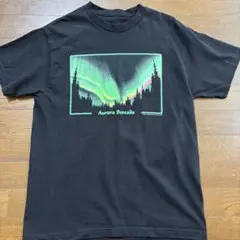 コットンエクスプレッション　Tシャツ M