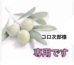 5825新品⭐️LL〜3L＊FILA＆Disneyハーフジッププルオーバーミッキー