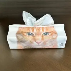 茶トラ ティッシュケース キャンバス地 ホワイト 猫柄 ねこ ティッシュボックス