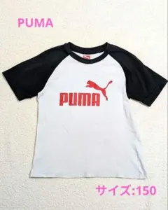 PUMA ホワイト/ブラック Tシャツ
