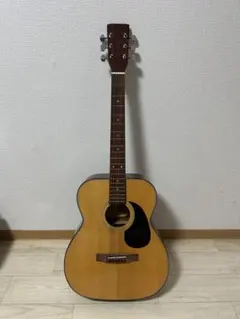 【初心者セット】Aria アコースティックギター (ケース/カポ/ピック付) 初心者セット】Aria アコースティックギター (ケース/カポ/ピック付