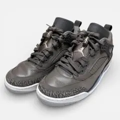 美品 NIKE JORDAN SPIZIKELOW ケイブストーン グレー 27
